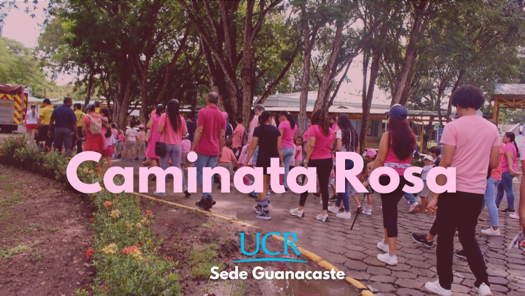Caminata Rosa