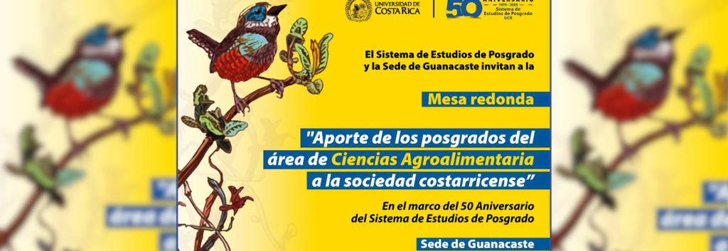 Mesa Redonda