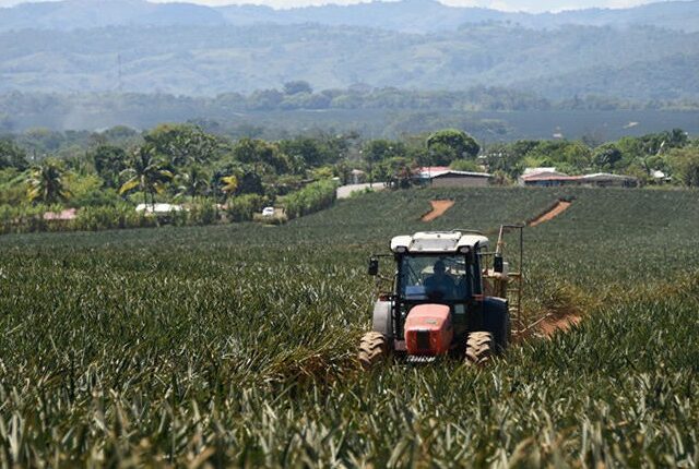 Agronomia1 850x430 1